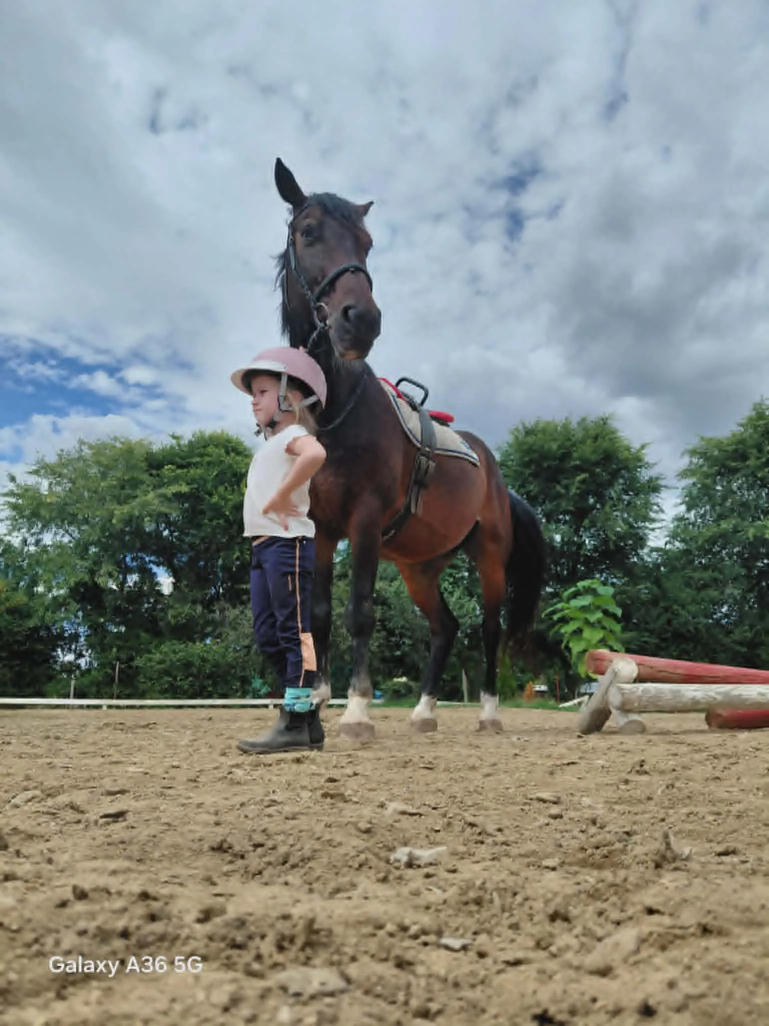 Galéria kép 52