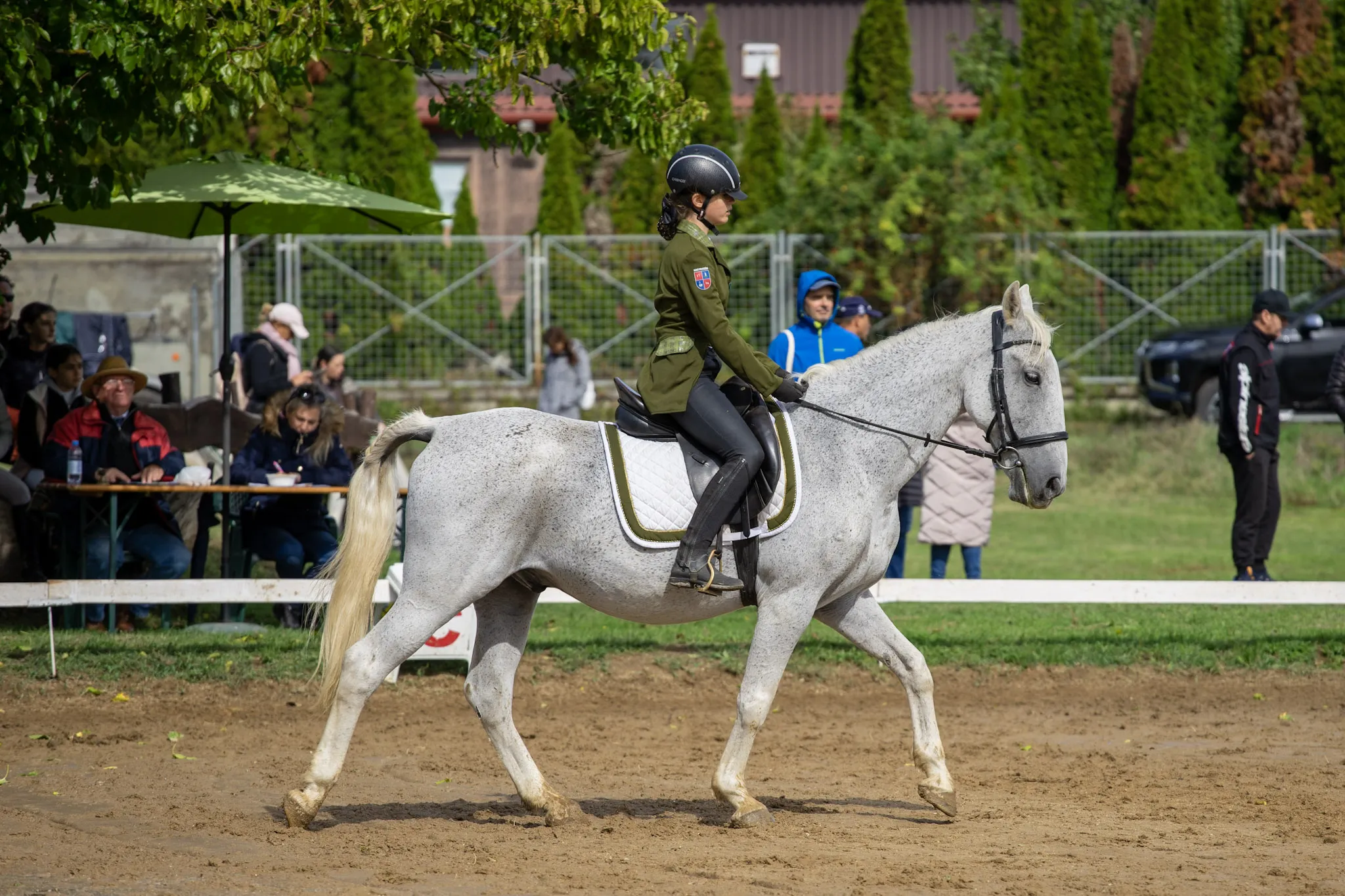 Galéria kép 16